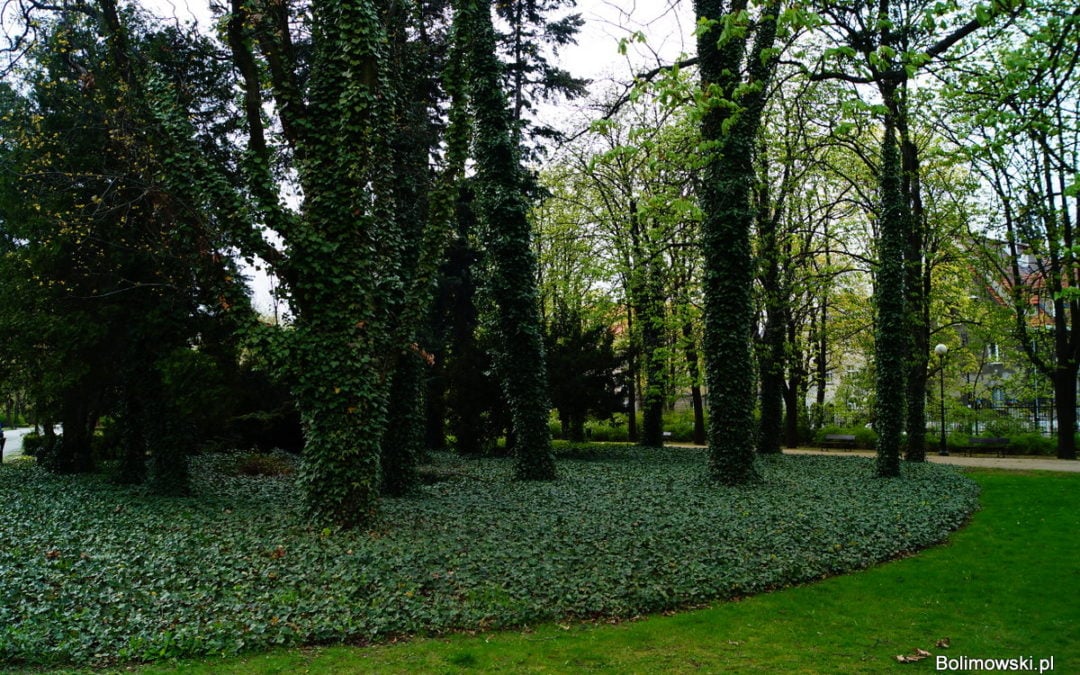 Park Dreszera